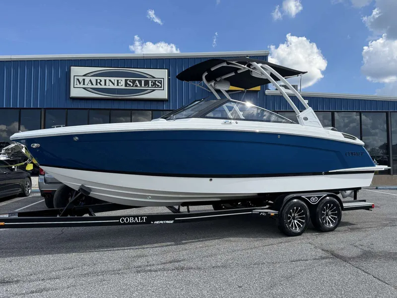 The Image of Cobalt R6 2025 - 1