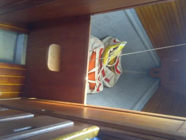Slide: The Image of Peterson 34 1981 - 9