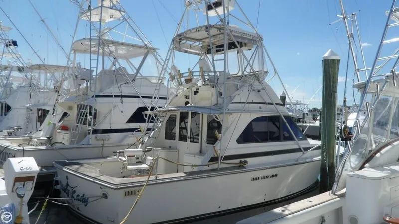 Slide: The Image of Bertram 35 Sport Fisherman 1974 - 1