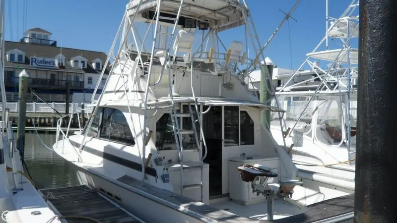Slide: The Image of Bertram 35 Sport Fisherman 1974 - 5