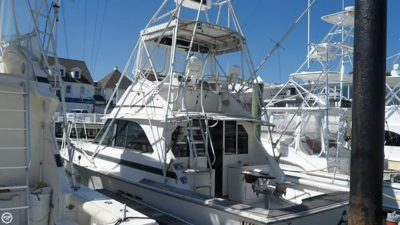 Slide: The Image of Bertram 35 Sport Fisherman 1974 - 6