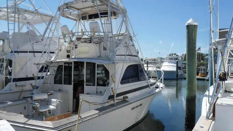 Slide: The Image of Bertram 35 Sport Fisherman 1974 - 8