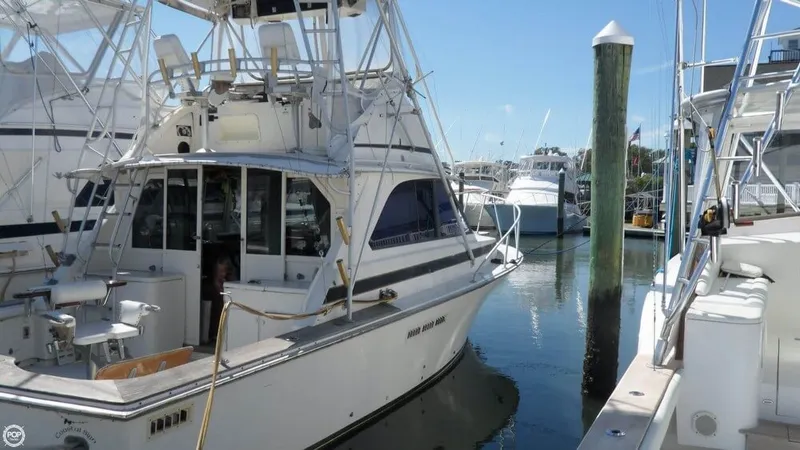 Slide: The Image of Bertram 35 Sport Fisherman 1974 - 9