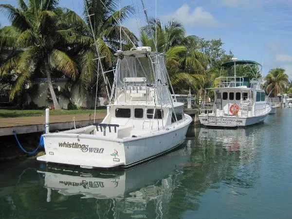 Slide: The Image of Bertram 31 Flybridge Cruiser 1975 - 8