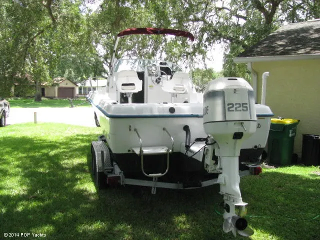 Slide: The Image of Hydra-Sports Seahorse 230 WA 1998 - 5