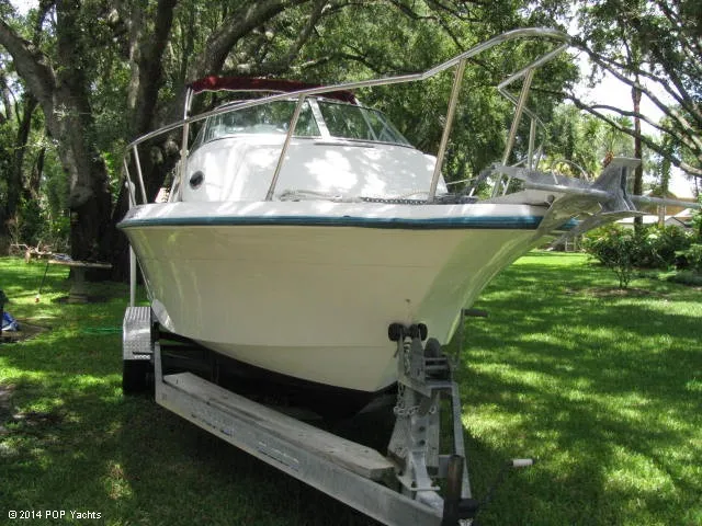 Slide: The Image of Hydra-Sports Seahorse 230 WA 1998 - 9