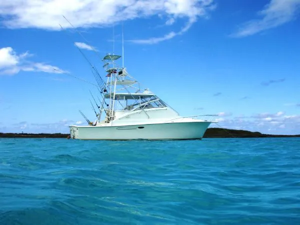 Slide: The Image of Ocean Yachts 40 Express Sportfish with tower 2000 - 1