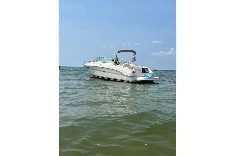 The Image of 2003 Sea Ray 225 Weekender boat floating on calm water under a clear sky. - 0