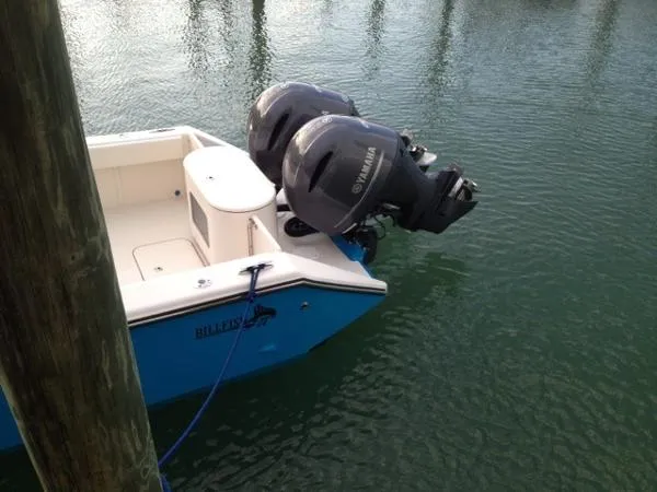 Slide: The Image of BILLFISH 27 2014 - 2