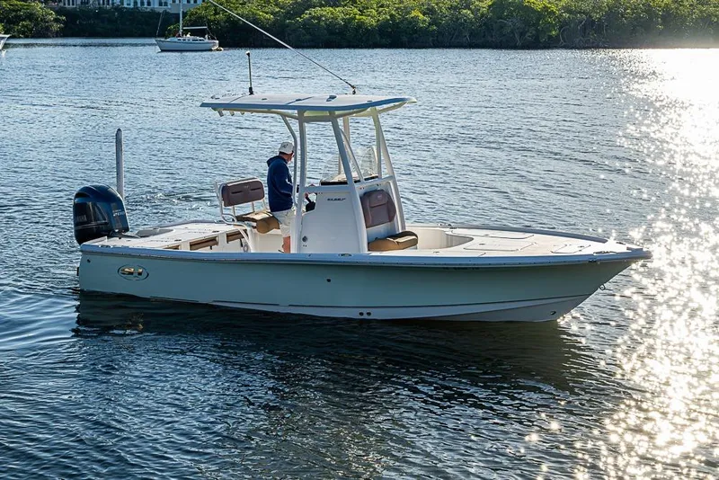 Slide: The Image of 2019 Sea Hunt BX 22 BR boat cruising on a sunny, tranquil waterway. - 1