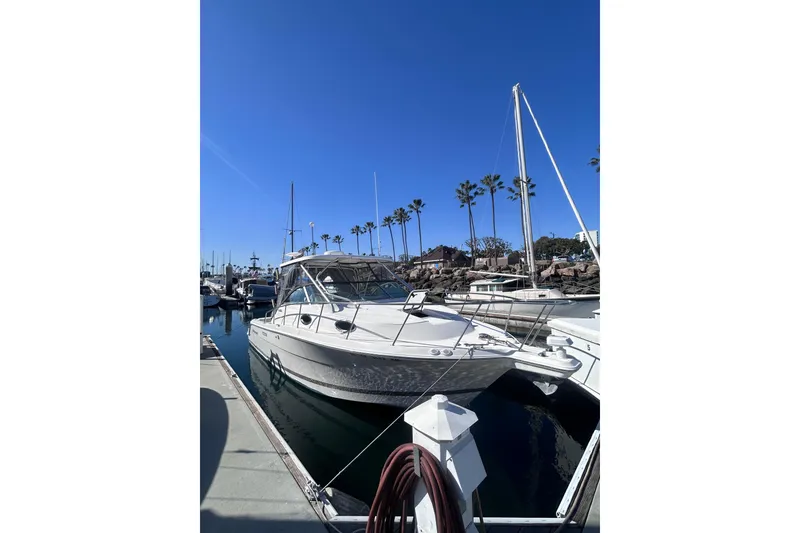 The Image of 2006 Wellcraft 290 Coastal boat docked in a sunny marina with palm trees. - 6