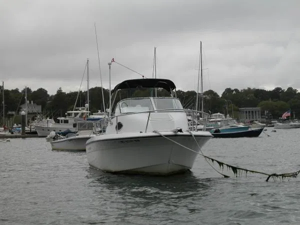 Slide: The Image of Hydra-Sports 212 Seahorse WA 2003 - 1