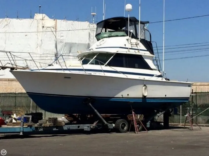 Slide: The Image of Bertram 35 Convertible 1977 - 1