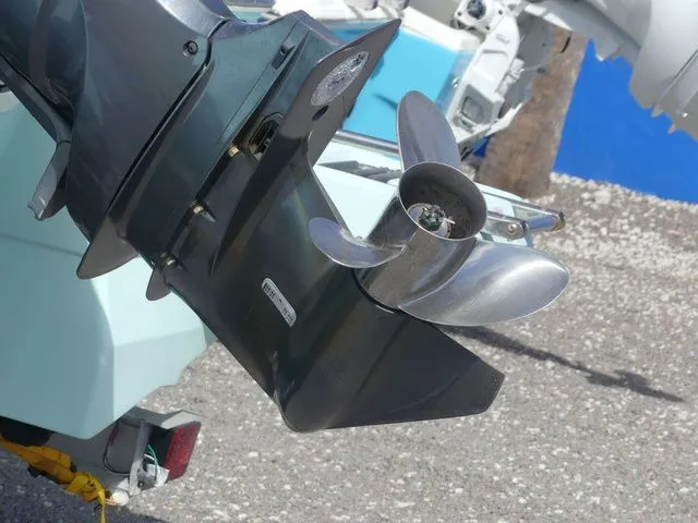 Slide: The Image of Robalo 246 Cayman 2022 - 11