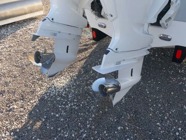 Slide: The Image of Sea Hunt Gamefish 25 2025 - 11