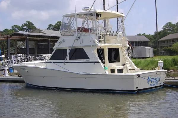 Slide: The Image of Viking Convertible w/Fresh Motors 1986 - 1