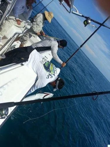 Slide: The Image of Contender Open Fisherman CC 2003 - 2