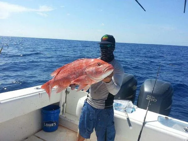 Slide: The Image of Contender Open Fisherman CC 2003 - 7