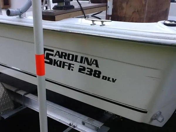 Slide: The Image of Carolina 238 DLV 2011 - 7