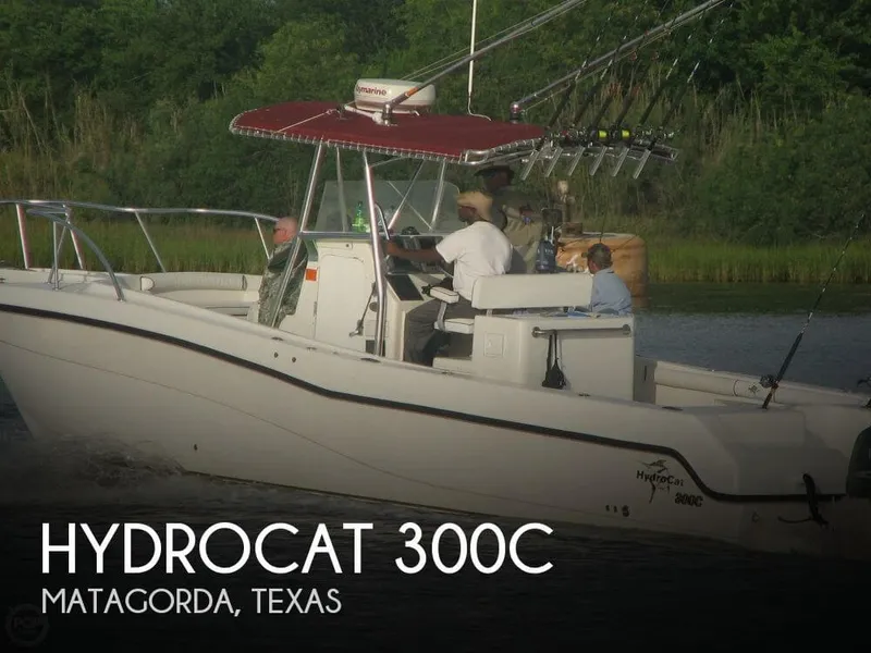 Slide: The Image of Hydrocat 300C 2004 - 0