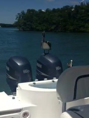 Slide: The Image of Sea Fox 256 CENTER CONSOLE 2011 - 3