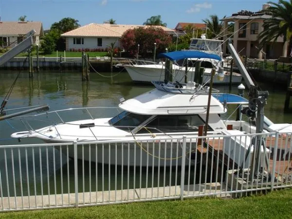Slide: The Image of Sea Ray 310 Amberjack Sport Bridge 1992 - 0