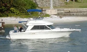 Slide: The Image of Sea Ray 310 Amberjack Sport Bridge 1992 - 1