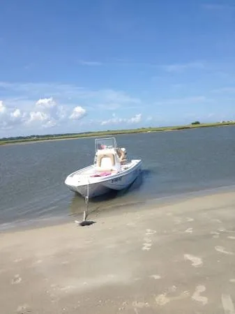 Slide: The Image of Hammerhead Boats 178 Predator 2012 - 5