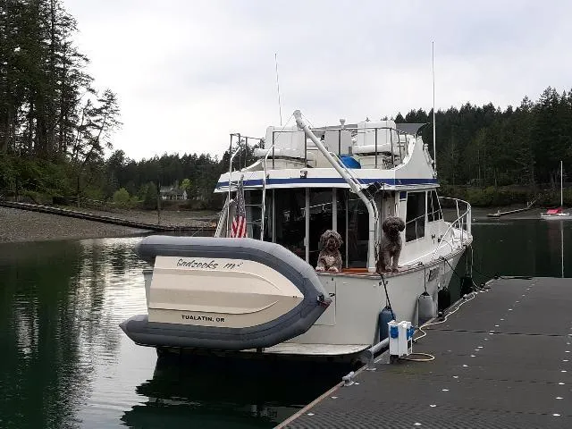 Slide: The Image of 1978 Tollycraft 37 Sport Sedan docked with two dogs on board. - 2