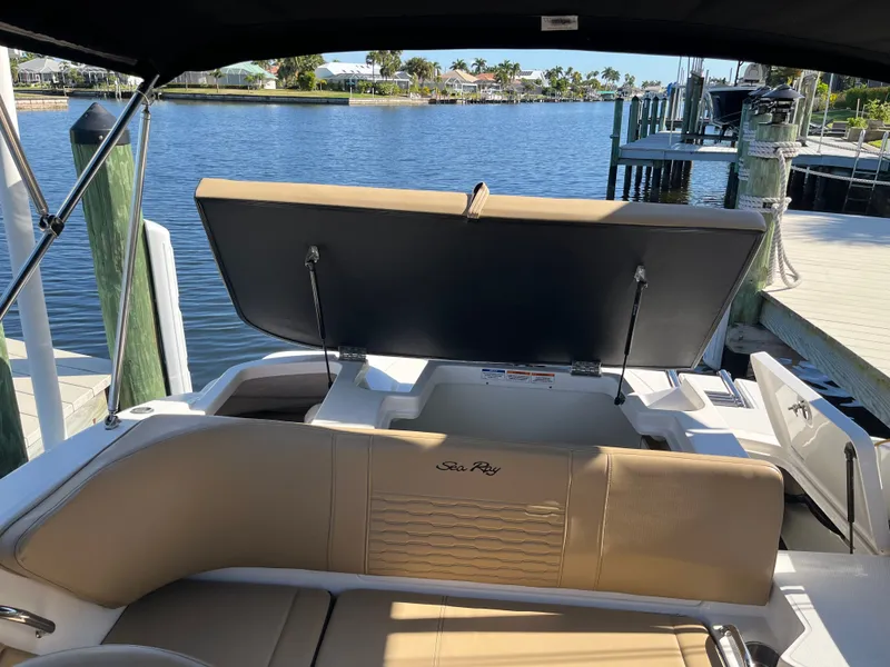 Slide: The Image of Sea Ray 19 SPX OB 2021 - 19