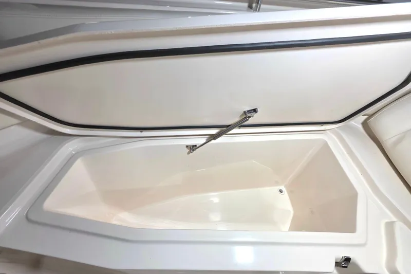 Slide: The Image of Open storage compartment on 2019 Grady-White Freedom 307 boat. - 11