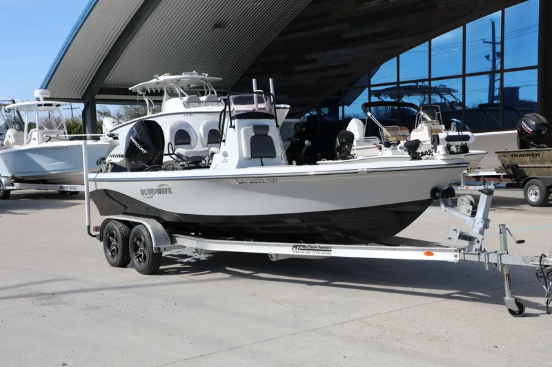 Slide: The Image of Blue Wave Blue wave 2019 - 9