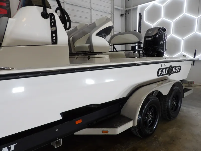 Slide: The Image of Fat Cat HV26 AMBUSH 2020 - 7