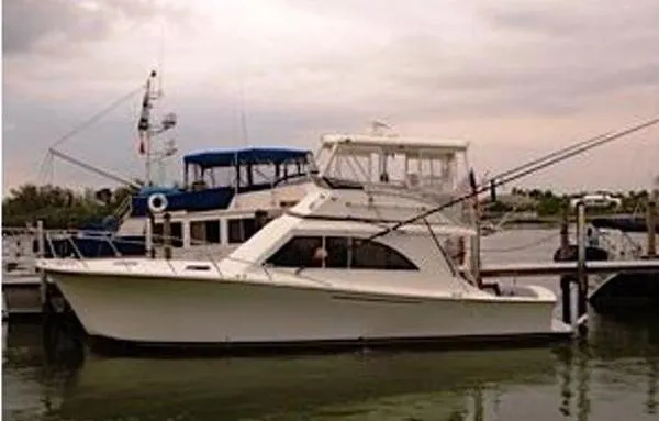 Slide: The Image of Jersey Convertible Sportfish 1991 - 1
