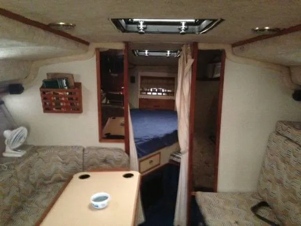 Slide: The Image of Wellcraft 313 Sun Cruiser 1982 - 1