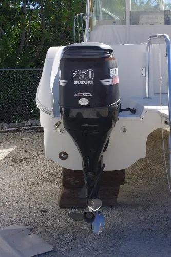 Slide: The Image of World Cat 320 EC 2006 - 4