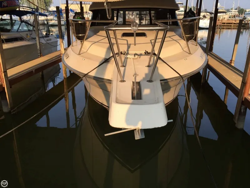Slide: The Image of Silverton 34 Convertible 1989 - 9