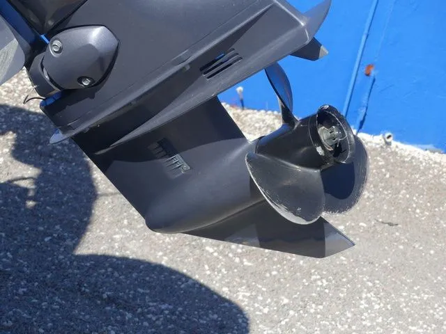 Slide: The Image of Bennington 20 SLV 2020 - 10