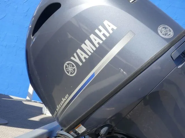 Slide: The Image of Bennington 20 SLV 2020 - 8