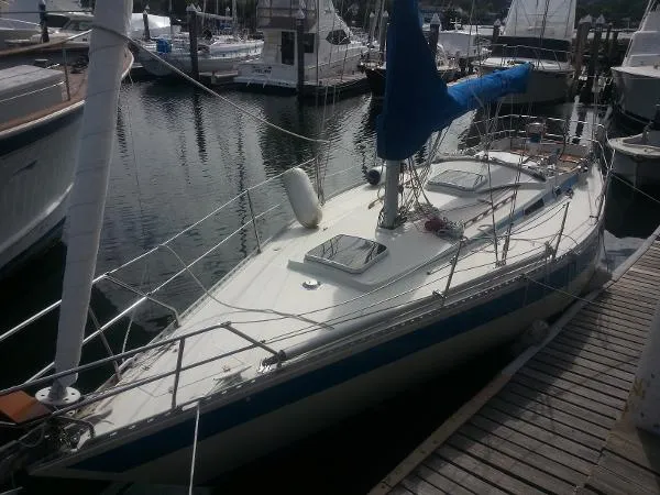 Slide: The Image of Helmsman 35 1986 - 1