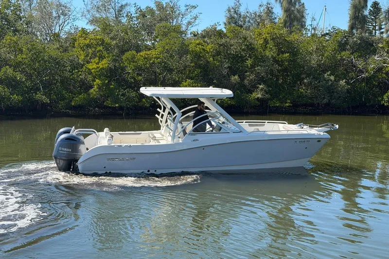 The Image of World Cat 255 DC 2023 - undefined