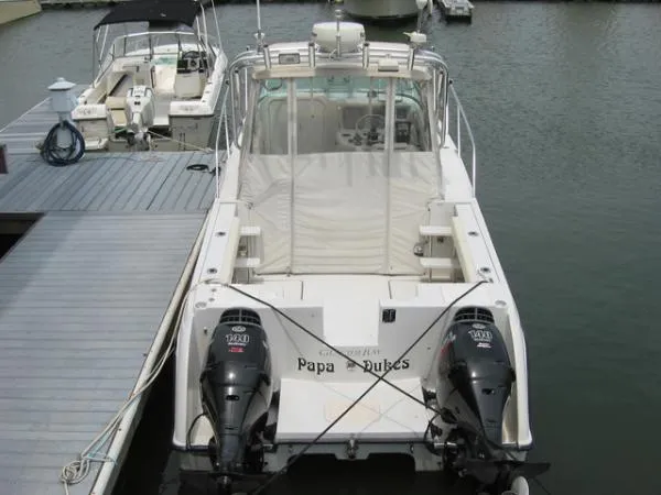 Slide: The Image of Glacier Bay 2670 Sportfish 1999 - 4