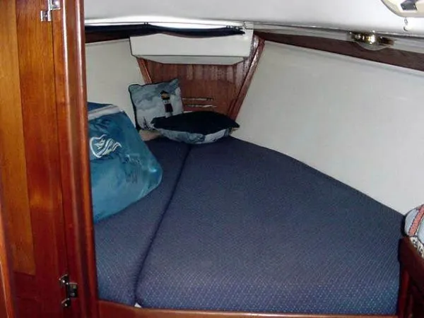 Slide: The Image of Tartan 3100 1994 - 1