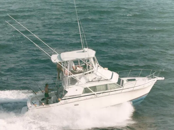 Slide: The Image of Bertram *Flybridge Sportfish* 1986 - 0