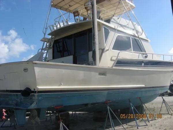 Slide: The Image of Striker 54 CONVERTIBLE 1975 - 4