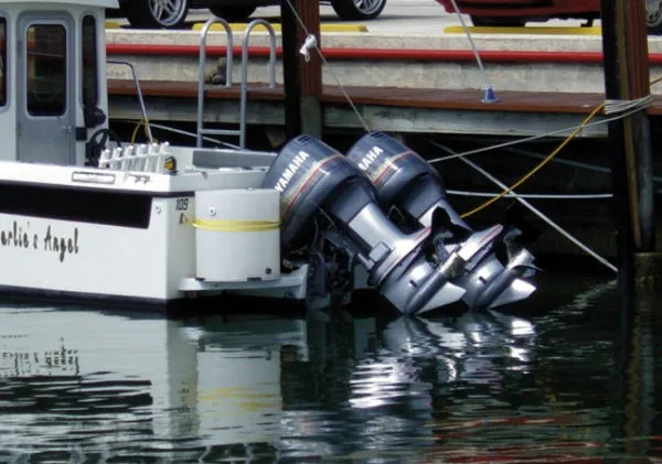 Slide: The Image of Osprey 1997 - 8