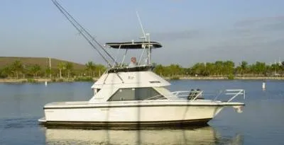 Slide: The Image of Phoenix Bass Boat Convertible 1991 - 0