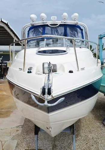 Slide: The Image of Stingray 250 CS 2011 - 3