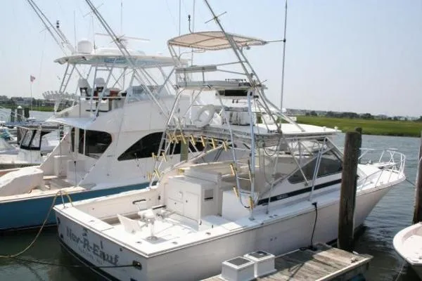 Slide: The Image of Blackfin Express 1995 - 0