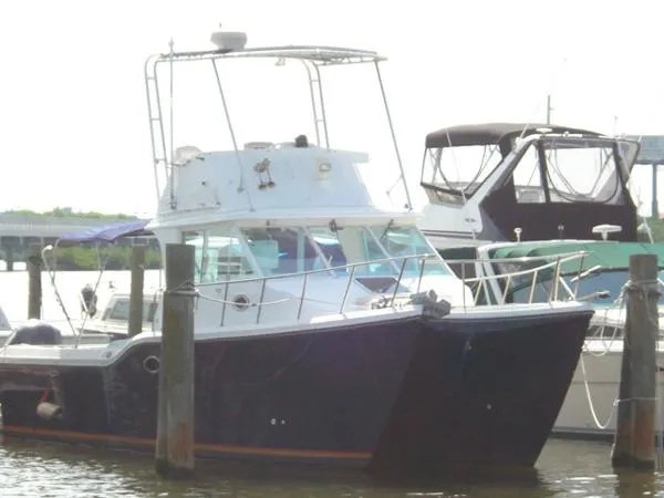 Slide: The Image of Baha Cruisers King Cat 2000 - 0